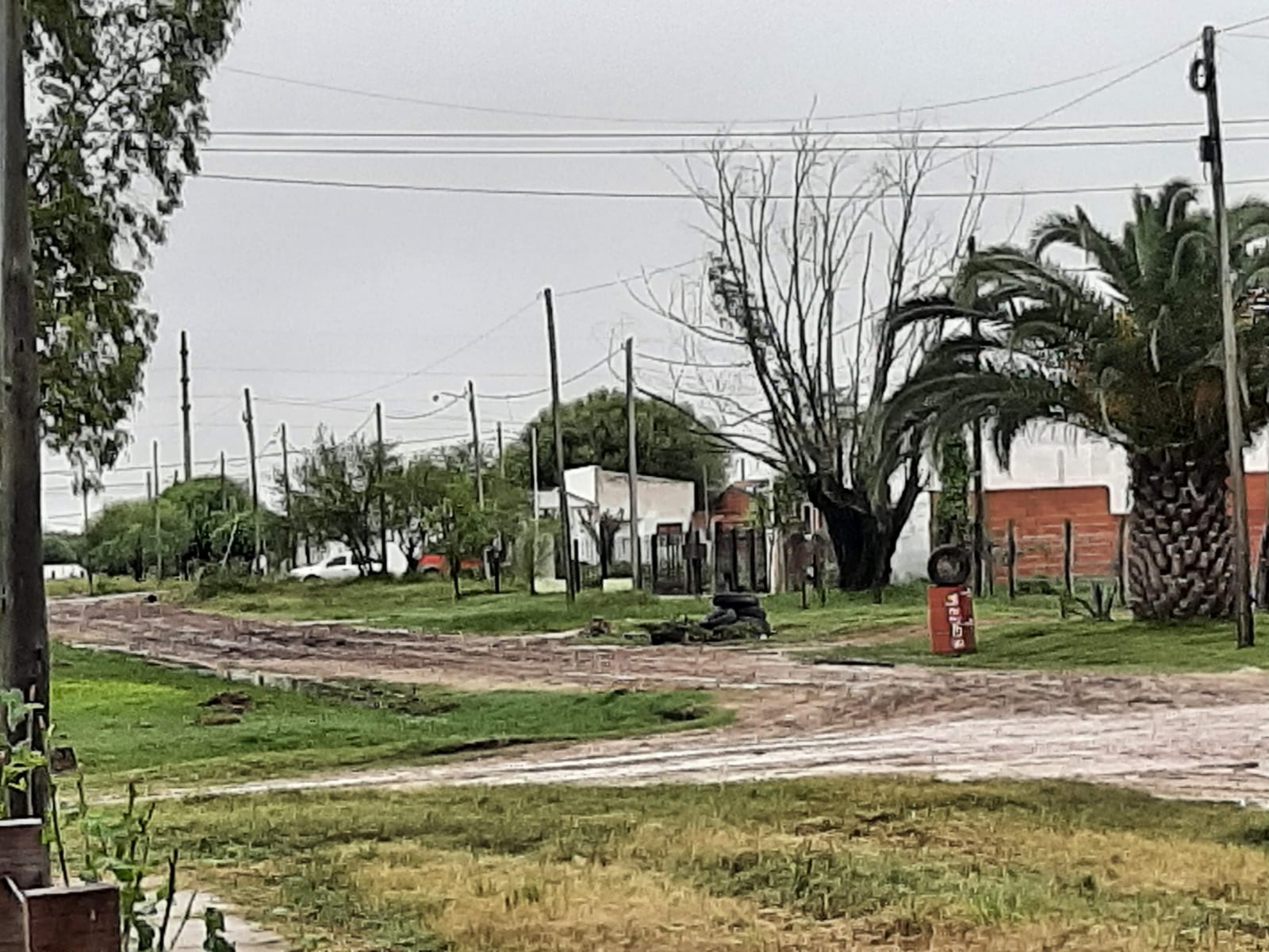 Imagen adicional