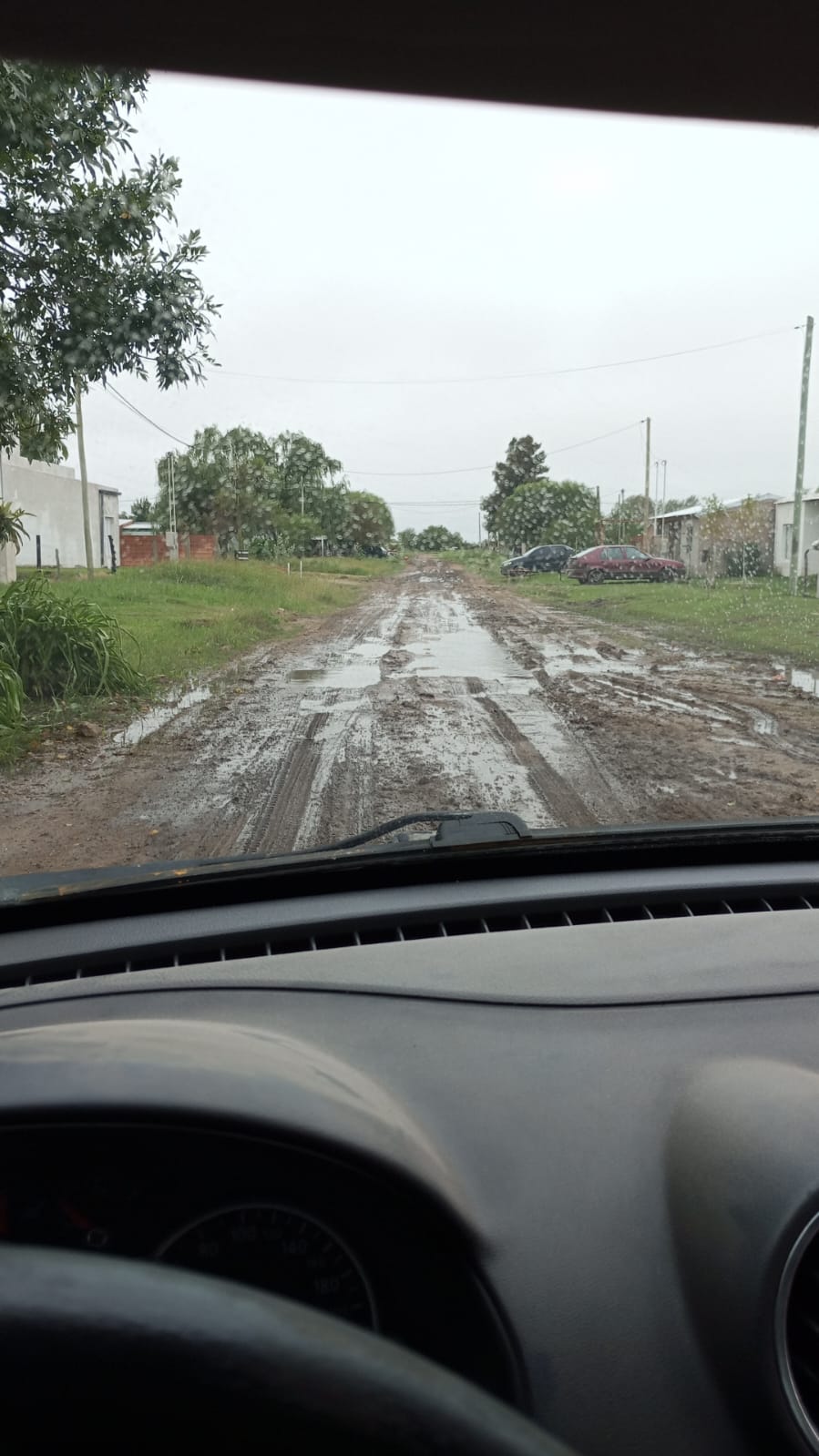 Imagen adicional